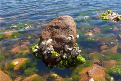 Sixth view of Homely house listing, 165 Esperance Coast Road, Geeveston TAS 7116