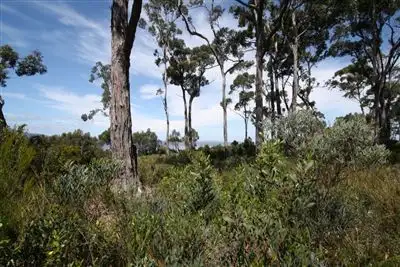 Sixth view of Homely land listing, 5136 Channel Highway, Gordon TAS 7150