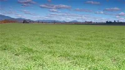 Main view of Homely rural property listing, "Kangah" Warrah Sub-Division Road, Willow Tree NSW 2339