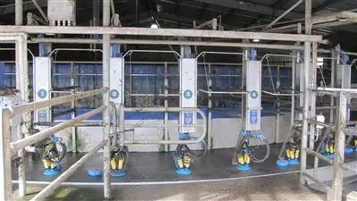 Fifth view of Homely rural property listing, 79 Wagners Road, Winnaleah TAS 7265