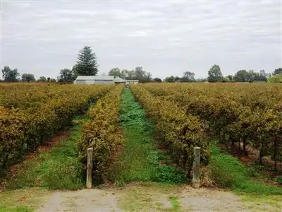 Second view of Homely rural property listing, 21 Twentyfifth  Street, Renmark West SA 5341