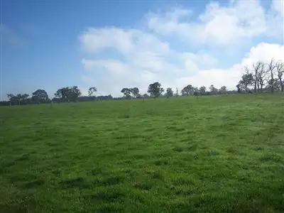 Second view of Homely rural property listing, 460 Flynns Creek Road, Flynn VIC 3844