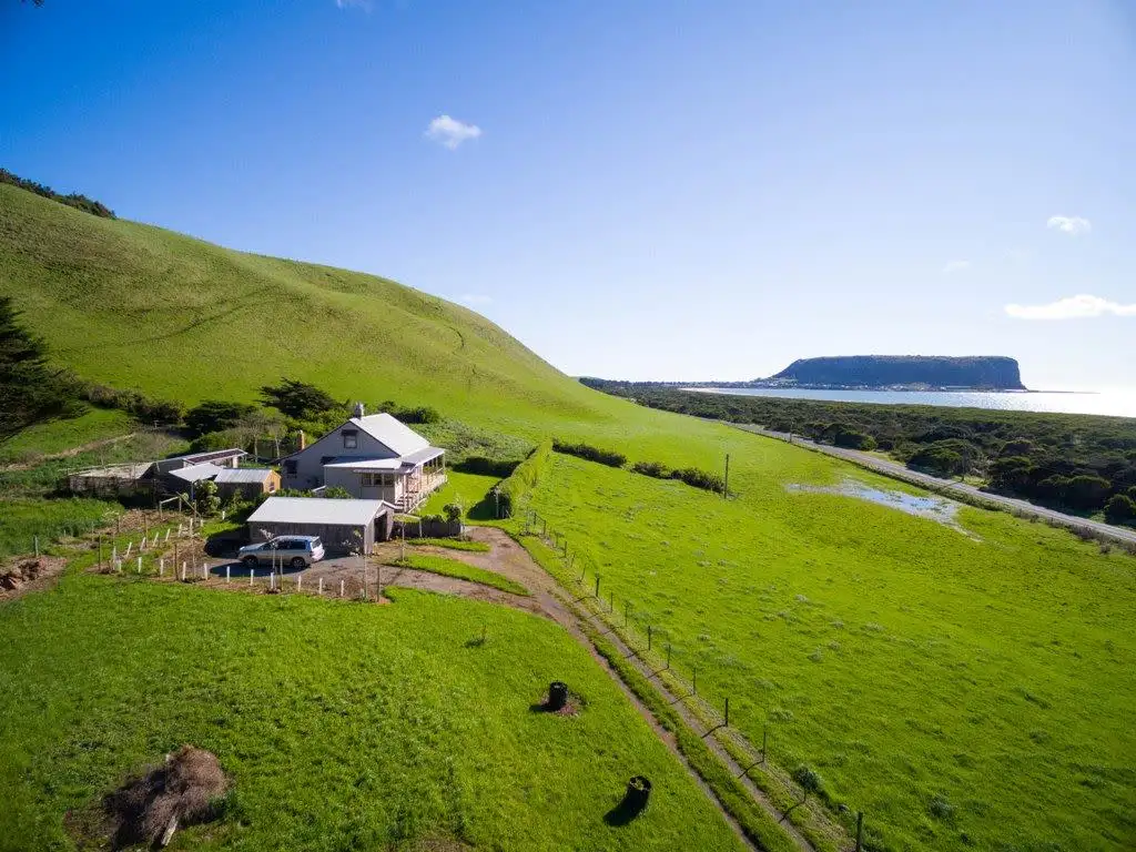 Main view of Homely rural property listing, 379 Stanley Highway, Stanley TAS 7331