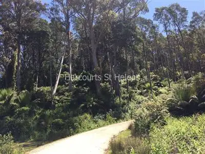 Sixth view of Homely rural property listing, 1062 Lottah Road, Goulds Country TAS 7216