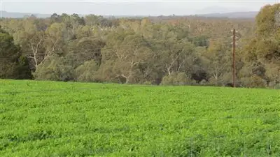 Fifth view of Homely rural property listing, Lot 11 Harvey's Quarry Road, Williamstown SA 5351