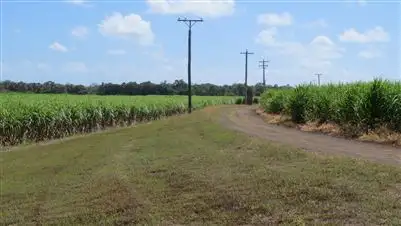Second view of Homely rural property listing, 121-165 Moody Road, Jarvisfield QLD 4807