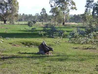Fifth view of Homely rural property listing, Ca 244a Deep Lead Road, Stawell VIC 3380