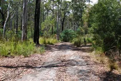 Fifth view of Homely land listing, 0 Irish Town Road, St Marys TAS 7215