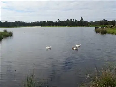 Main view of Homely rural property listing, 138 Double Bridges Road, Northcliffe WA 6262