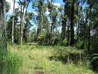 Third view of Homely rural property listing, 97 Lower Tablelelands Road, Benambra VIC 3900