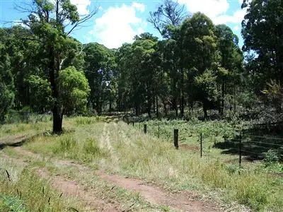 Main view of Homely rural property listing, 97 Lower Tablelelands Road, Benambra VIC 3900