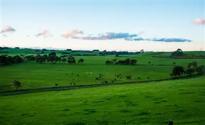 Fifth view of Homely rural property listing, 715 Backline Road, Forest TAS 7330