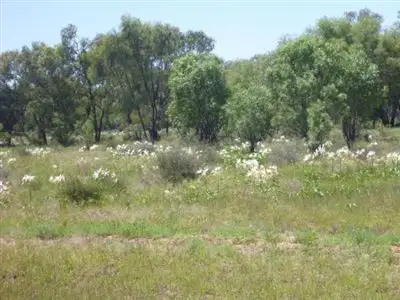 Sixth view of Homely rural property listing, " Wilbertree", Nyngan NSW 2825