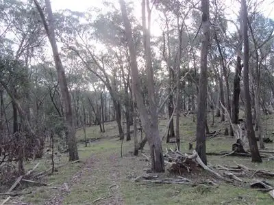 Sixth view of Homely rural property listing, Lot 3 Penny Lane, Ruffy VIC 3666