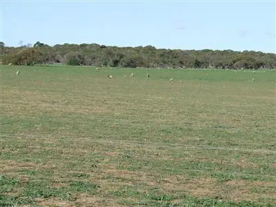 Fifth view of Homely rural property listing, Lot 27 Butcher Road, Bookara WA 6525