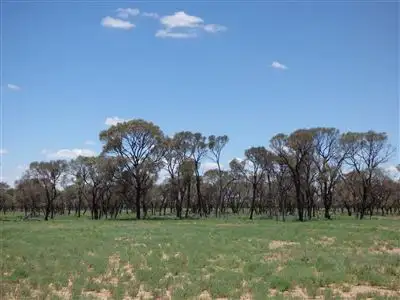 . Burke's Tank, Brewarrina NSW 2839