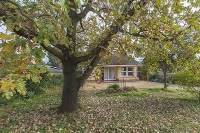 51 Sedgehill Road, Elizabeth North SA 5113
