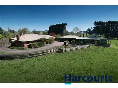 Main view of Homely rural property listing, 243 Lillico Road, Lillico VIC 3820