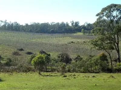 Fifth view of Homely rural property listing, 59 Johnstons Road, Hillwood TAS 7252