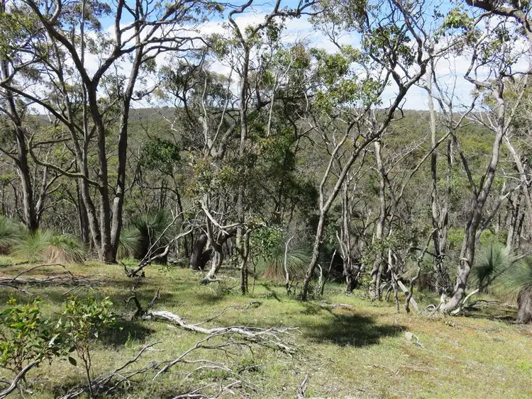 Fifth view of Homely land listing, 315 South Steiglitz Road, Steiglitz VIC 3331