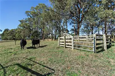 Fourth view of Homely rural property listing, Lot 4 Little Moe River Road, Darnum VIC 3822