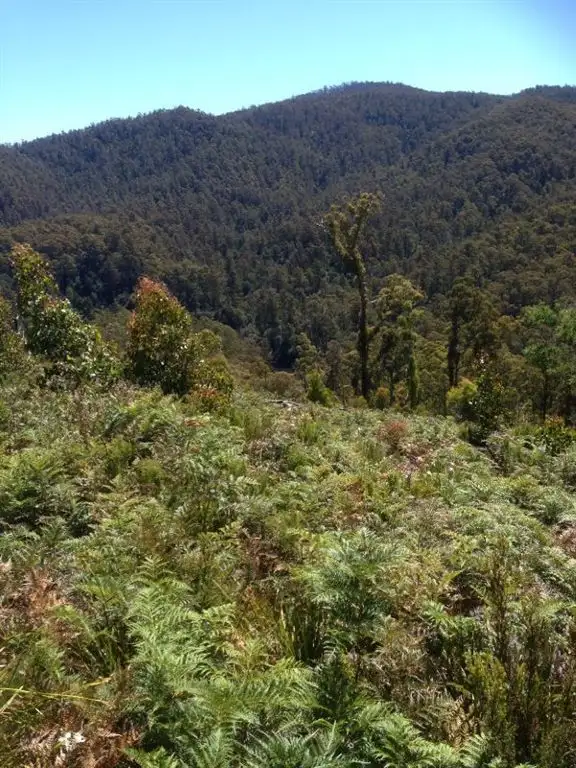 Second view of Homely land listing, Lot 4 Harveys Road, North Motton TAS 7315