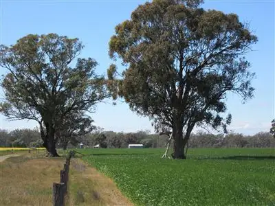 Sixth view of Homely rural property listing, 18 Lewis Road, Miepoll VIC 3666
