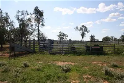 Seventh view of Homely rural property listing, 11677 Merri Merri Way, Coonamble NSW 2829