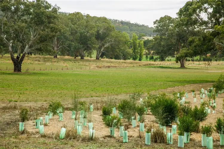 Seventh view of Homely land listing, Lot 3 "Dunnfield", Springhead Road, Mount Torrens SA 5244