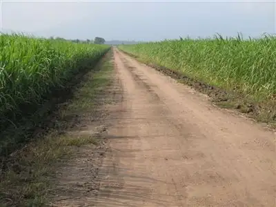 Seventh view of Homely rural property listing, . Haughton, Giru QLD 4809