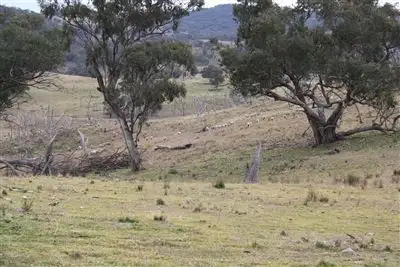 Fourth view of Homely rural property listing, L107 Roberts Rd, Mudgee NSW 2850