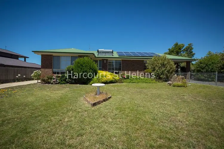 Main view of Homely house listing, 19 Cherrywood Drive, Scamander TAS 7215