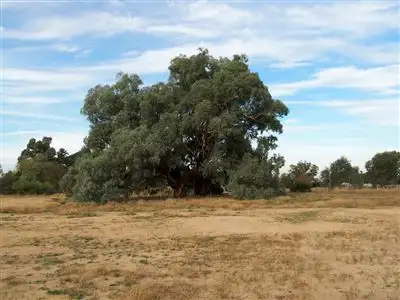 Fifth view of Homely land listing, Lot 9 Nolan Lane, Tarrawingee VIC 3678