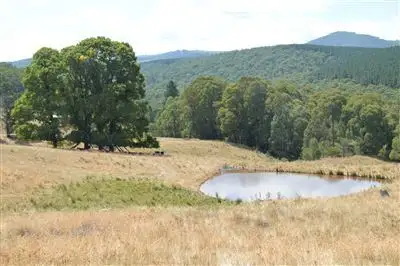 Sunnyside 1100 Batlow Road, Tumbarumba NSW 2653