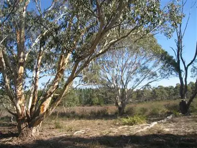 1573 Cooma Road, Braidwood NSW 2622