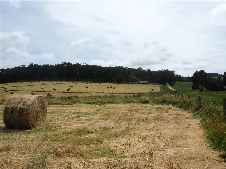 Seventh view of Homely rural property listing, 1 Cocksedges Road, Won Wron VIC 3971