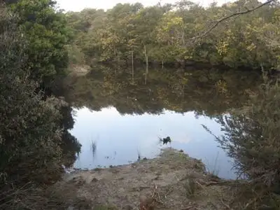 Main view of Homely rural property listing, - Lanka Road, Pioneer TAS 7264