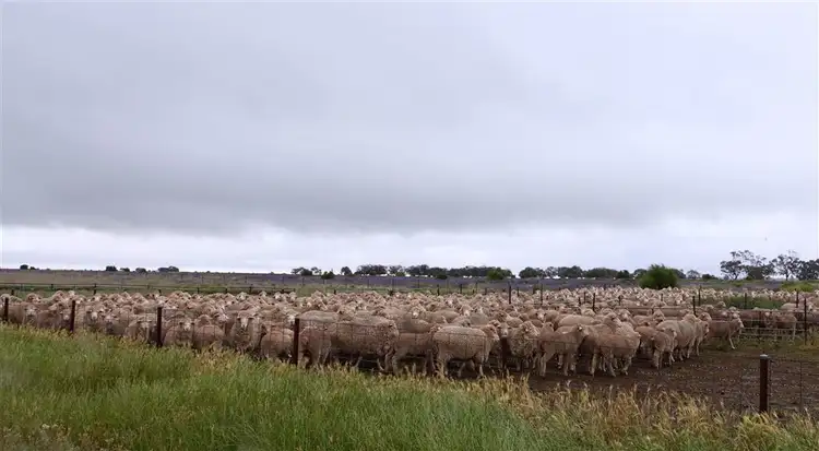 Second view of Homely rural property listing, . "Ramsay" Cobb Highway, Booroorban NSW 2710