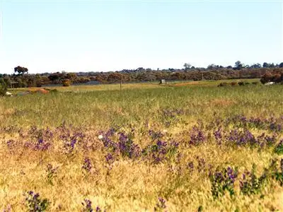 Fourth view of Homely rural property listing, 252 Distillery, Monash SA 5342