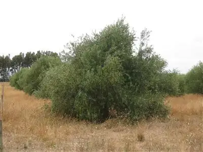 Seventh view of Homely rural property listing, Address available on request