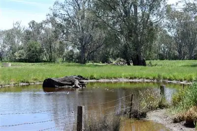 Third view of Homely rural property listing, 572 Oxley Meadow Creek Rd, Oxley VIC 3678