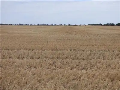 431 Baker - Hiscocks Road, Netherby, Nhill VIC 3418