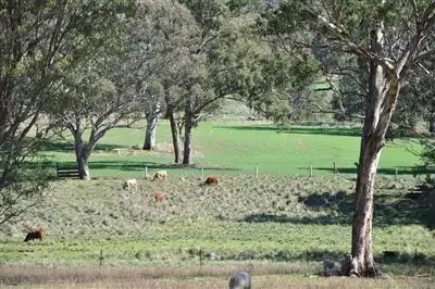 Second view of Homely rural property listing, . "Glenmyle" Crawney Rd, Timor NSW 2338