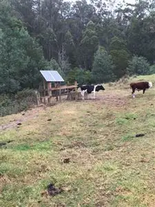 Second view of Homely rural property listing, Lot 1 Albert River Road, Staceys Bridge VIC 3971