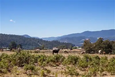 Second view of Homely land listing, - Bay Link Road, Franklin TAS 7113