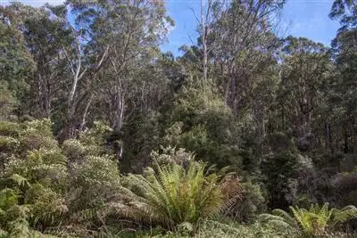 Seventh view of Homely land listing, Lot 1 Pillings Road, Cairns Bay TAS 7116