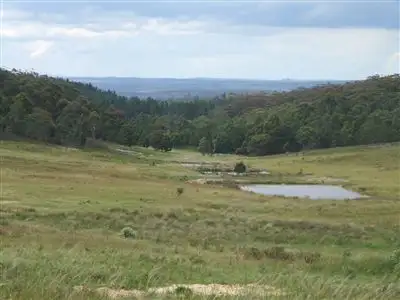 Main view of Homely rural property listing, Lot 4 Halls Lane, Braidwood NSW 2622