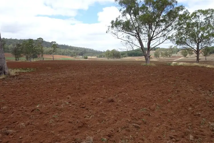 Third view of Homely rural property listing, . Berrydale Road, Montana TAS 7304