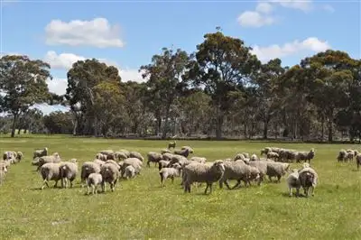 Fifth view of Homely rural property listing, Address available on request