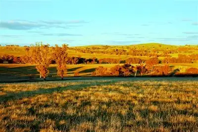 Fourth view of Homely rural property listing, 573 & 749 Bendenine Road, Binalong NSW 2584